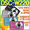 DSC-W220