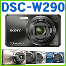 DSC-W290